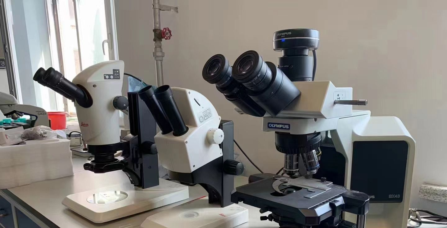 奥林巴斯倒置显微镜